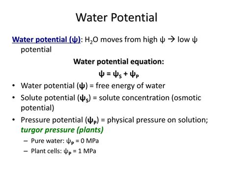 gravimetric method for water potential|water potential calculation.